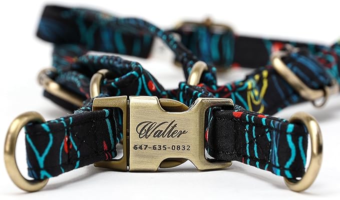 Angie and Allie Organic Cotton Personalized Step in Dog Harness,Custom Dog Halter Vests,Adjustable No Pull Canine Halter Harness for Small Medium Large Dogs