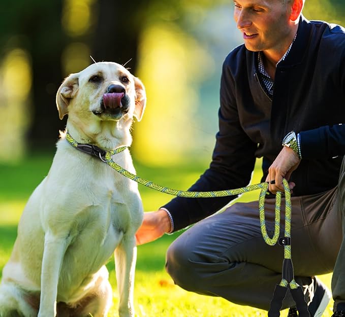 6 FT Heavy Duty Dog Leash, Durable Premium Quality Strong Training Rope Slip Leash with Comfortable Padded Handle and Highly Reflective Threads for Small Medium and Large Dogs, (Blue Green)