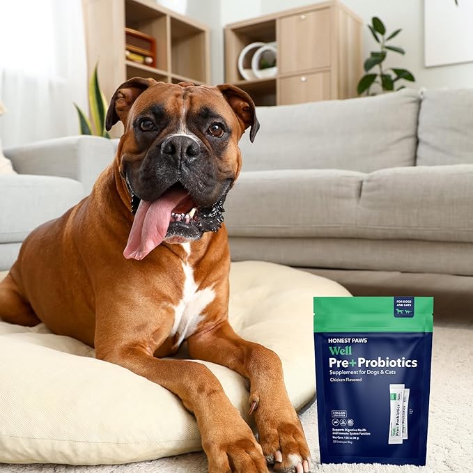 Honest Paws Probiotics for Dogs - Digestive & Immune Support Powder with Prebiotic Made in The USA, Chicken Flavor (30 Sticks)