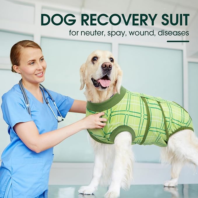 Kuoser Dog Recovery Suit for Female Male Dogs, Post-Surgery Bodysuit for Spay Neuter, Dog Onesie After Surgery, Anti-Licking Pet Surgical Recovery Suit, Green XS