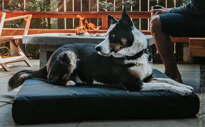 K9 Ballistics Tough Rip-Stop Orthopedic Rectangle Dog Bed Removable Washable Cover, Solid Orthopedic Foam for Size S Dogs 24"x18", Obsidian Black