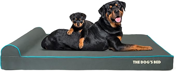 The Dog’s Bed Orthopedic Headrest Dog Bed XXL Grey/Blue 54x36, Memory Foam, Pain Relief for Arthritis, Hip & Elbow Dysplasia, Post Surgery, Lameness, Veterinary Approved, Waterproof Washable Cover