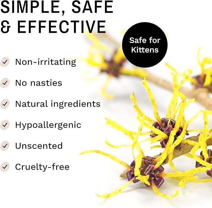 Eye Envy Fresh Ear Cleaning Wipes for Cats. Made in The USA from Natural Ingredients. Unscented. Prevents Infections. Safe and Non-Irritating. Removes Dirt, Debris, and Wax buildup. 60 Count.