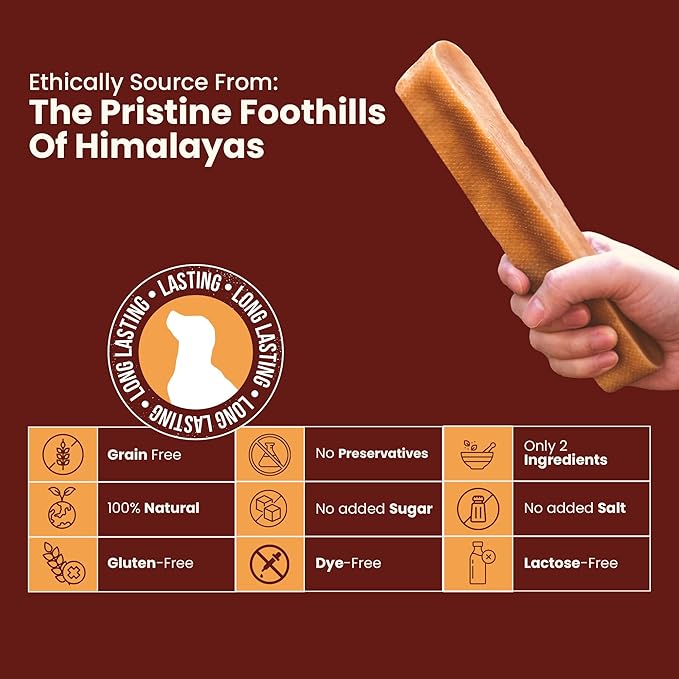 Authentic Himalayan Yak Cheese for Dogs - Medium (Pack of 10) - Sourced from Pristine Himalayan Foothill, Rawhide-Free, NO preservatives