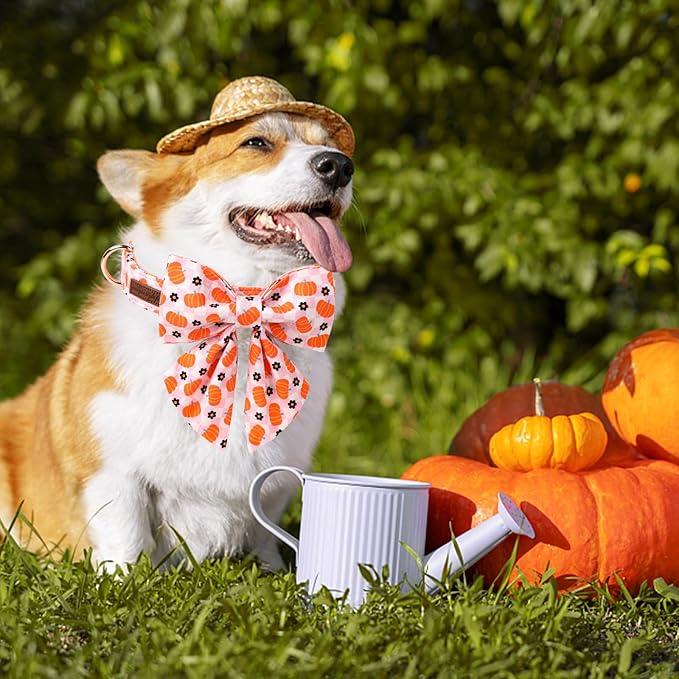 Unique Style Paws Halloween Day Dog Collar with Bowtie Pink Pumpkin Cotton Dog Collars for Small Medium Large Dogs