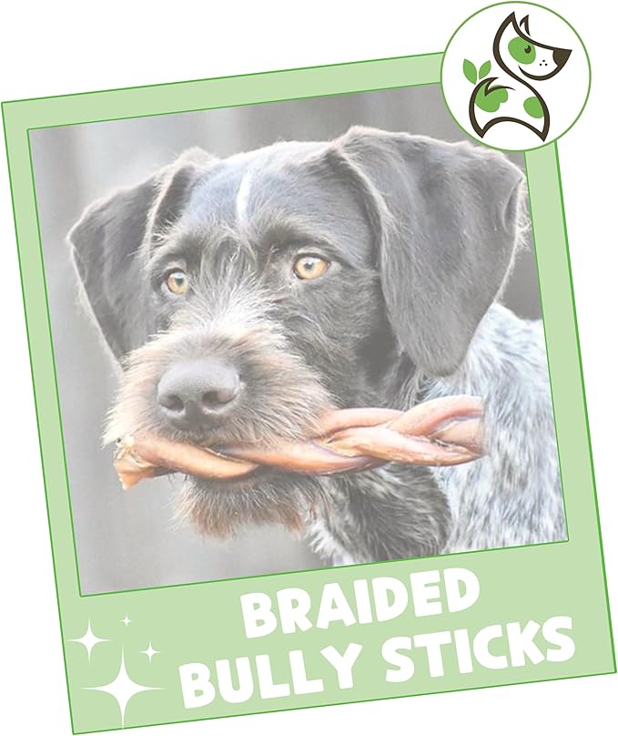 Nature Gnaws Braided Bully Sticks for Dogs 5-6" (3 Count) - Long Lasting for Small and Medium Dogs - Natural Beef Dog Chew Bones - Rawhide Free