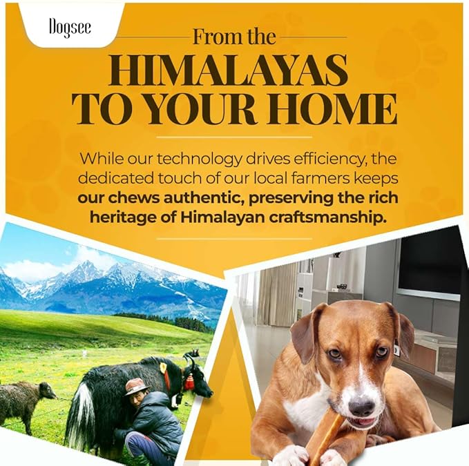 Dogsee Himalayan Yak Chews with Turmeric/Curcumin (XL - 3 Bars) | Yak Chews for Large Dogs | Dog Treats | Helps Joint Pain | Rawhide-Free