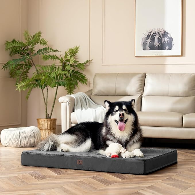 EHEYCIGA Orthopedic XL Dog Beds for Extra Large Dogs with Removable Washable Cover, Grey, 44x32