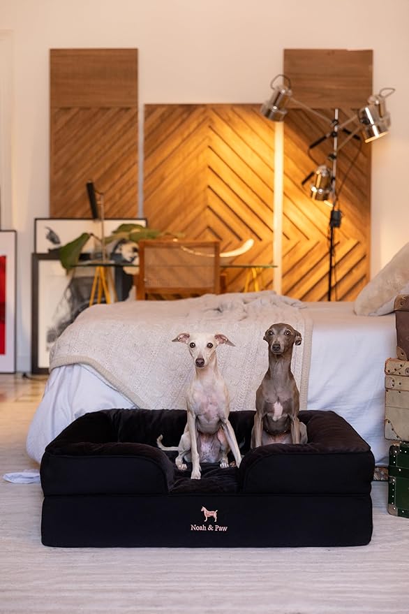 NOAH & PAW Large Dog Bed, 35x25x11 Inch, Orthopedic Dog Beds, Eggshell Memory Foam Infused with Cooling Gel, Inner Cover, Waterproof, Machine Washable (Denim Sofa Collection)