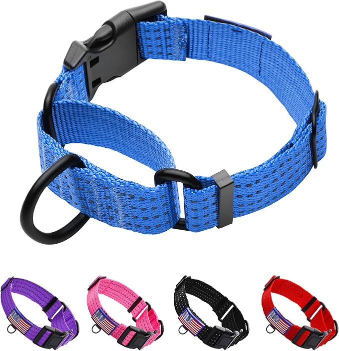 Martingale Collar for Training Dogs. Adjustable Reflective Collars with Buckle-USA Flag- NO Pull-Prevents Slipping Out, for Medium Large XL Dogs. Helps with Strong pullers (XL, Blue)