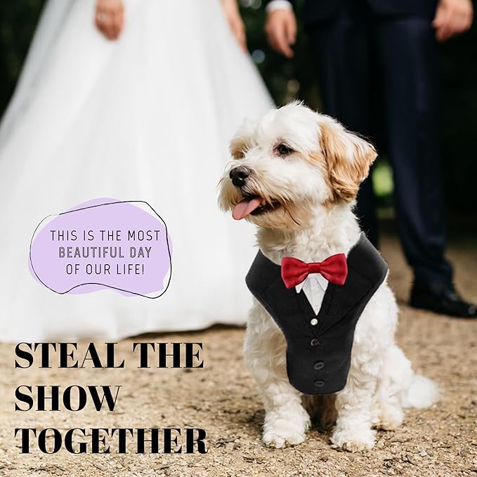 AVERYDAY Dog Tuxedo for Wedding Outfit, Dog Suit and Tie Costumes for Birthday, Halloween, Cosplay, Christmas Party, Pet Formal Wear with Bowtie, Tux for Small Dogs, Chihuahua, Bichon, Maltese, Cats