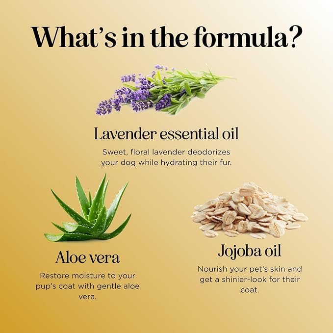 Soothing Oatmeal Shampoo for Dogs - Cleansing and Moisturizing Aloe & Oatmeal Dog Shampoo for Smelly Dogs of all Ages & Breeds - Gentle Sulfate and Paraben Free Dog Wash Made in USA (Sweet Cherry)