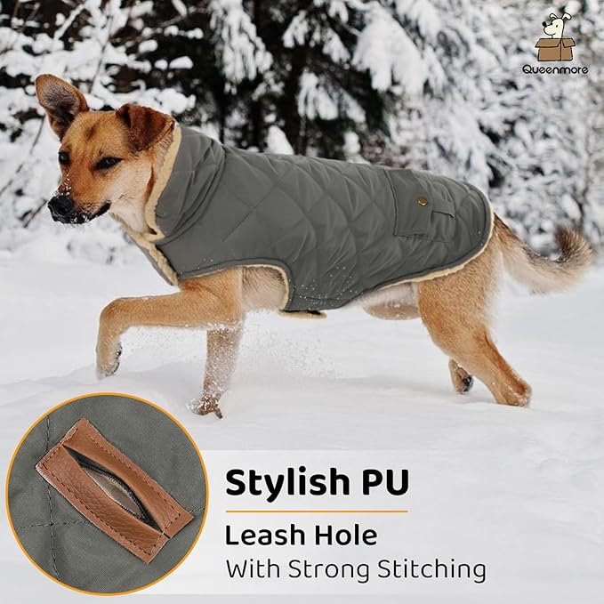 Queenmore Dog Winter Coat - Fleece Jacket, Waterproof Cold Weather Dog Clothes, Thick Warm Cotton Padding, Easy On Storage Pockets (Grey, Small)