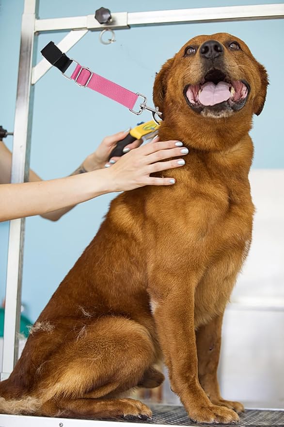 Pet Dog Grooming Table Arm Accessories Dog Grooming Loops for Table Arm Extender Adjustable Extension Loop Bathing Restraint Leash for Small & Medium Dogs (Pink & Hot Pink)