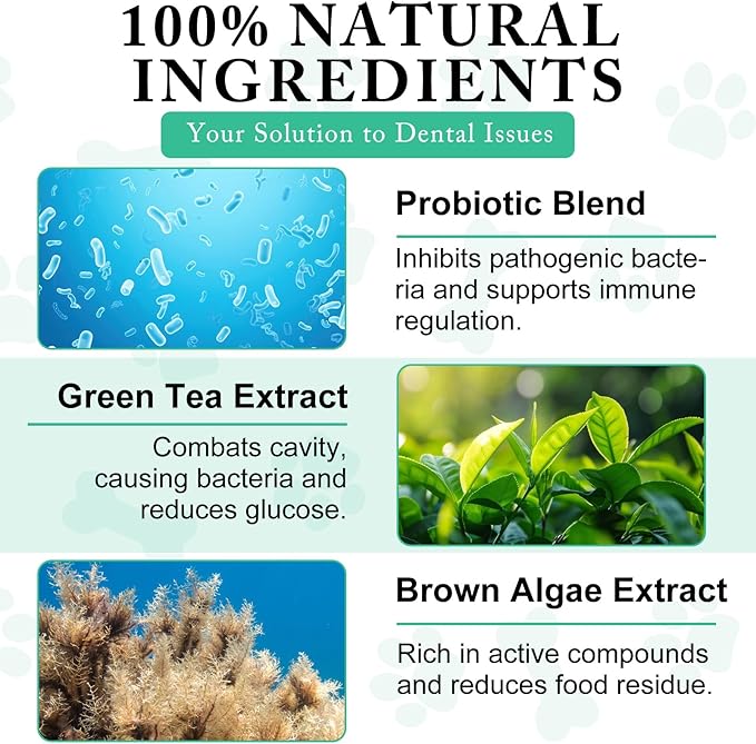 Dog Dental Powder,Pet Dental Powder,Teeth Cleaning Powder for Dogs,Dental Powder for Dogs,Plaque & Bad Breath Off Powder Dog, Dental Care Supplies for Small, Medium, Large Dogs 100g