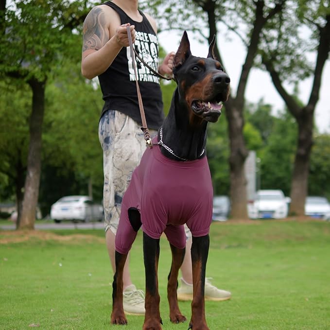 LoveLongLong Dog Jumpsuit with UV Protection and Quick-Dry Fabric for Spring Summer Pet Pajamas Taro Purple M