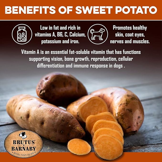 BRUTUS & BARNABY USA Sweet Potato Dog Treats - Crunchy Grain Free Cinnamon Apple Sticks, Promotes Positive Gut Health with Natural Anti-Diarrhea Properties (Cinnamon & Apple, 8 oz)