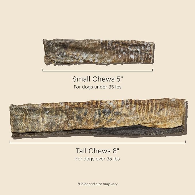 The Honest Kitchen Human Grade Ocean Chews Crispy Cod Fish Skins Dog Treats, 5.5 Ounces