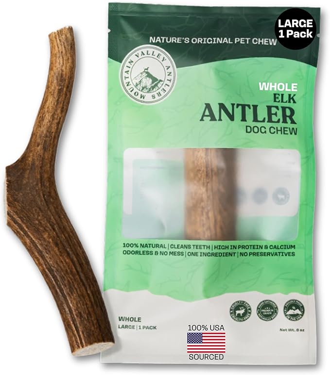 Mountain Valley Elk Antlers for Dogs - 100% Natural & Organic Chew for Aggressive Chewers, No Odor, No Mess, Long Lasting - Wild-Foraged Naturally Shed Antlers in USA - Grade A, Whole Large (1 Pack)