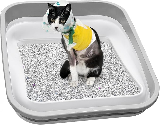 Senior Cat Litter Box, Three Legged Arthritic Open Low Entry for Sick Frail Handicap Disabled Cats, Older Elderly Corner
