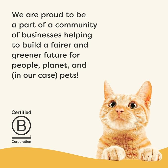 Applaws Vitality Wet Cat Food in Broth, Natural Cat Food with Added Vitamins & Minerals, Grain-Free, Carrageenan Free, Chicken Breast in Broth (24 Count, 2.47 oz Cans)