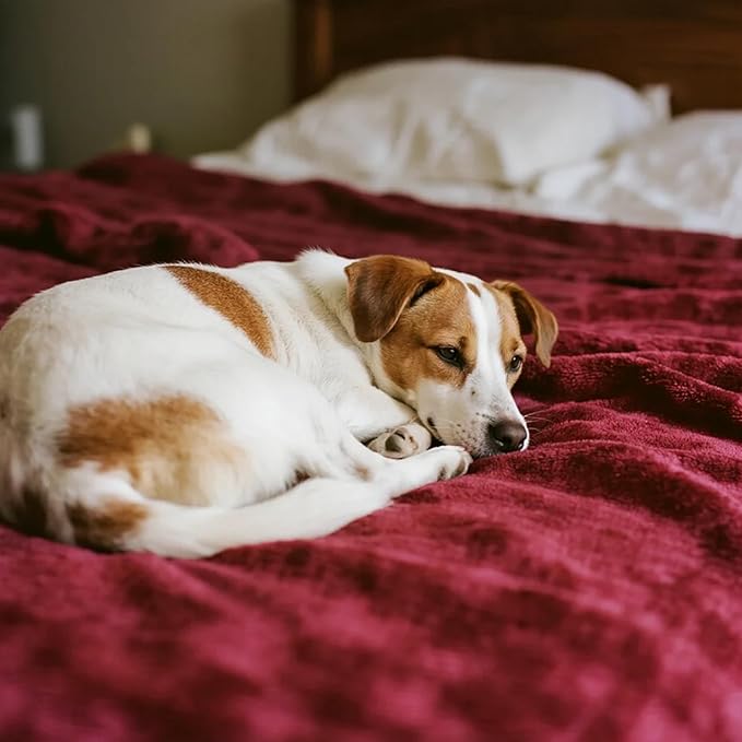 gogobunny Waterproof Bed Blanket, Reversible Sherpa Fleece Throw Blanket for Dog Puppy Cat, Furniture Cover Protects Bed Couch Sofa from Liquid Pee and Pet Fur (Romantic Red, 90x90 inches)