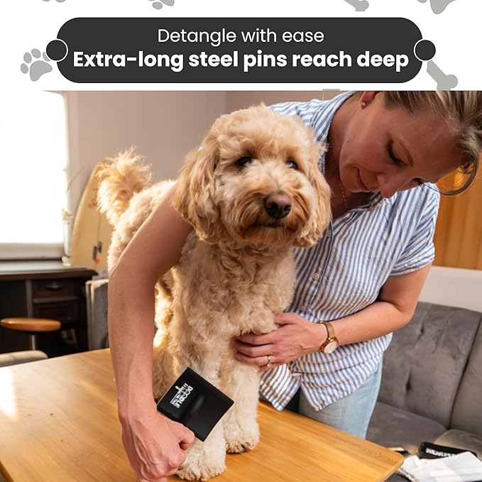 Slicker Brush for Dogs Kit by Doodle Me This Kingston and Hamilton includes comb treat pouch bag and guide turns stressful grooming into bonding gently detangles matted curly wavy coats at home