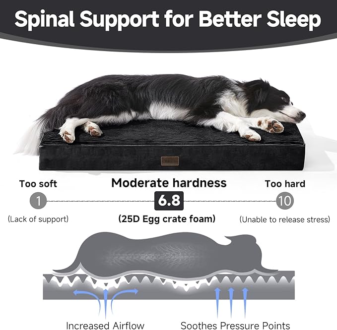 OhGeni Orthopedic Waterproof & Machine Washable Dog Bed for Medium Large Pets, Cat Mat with 25D Egg Crate Foam, Non-Slip Bottom & Removable Cover, 36 Inches(Black)