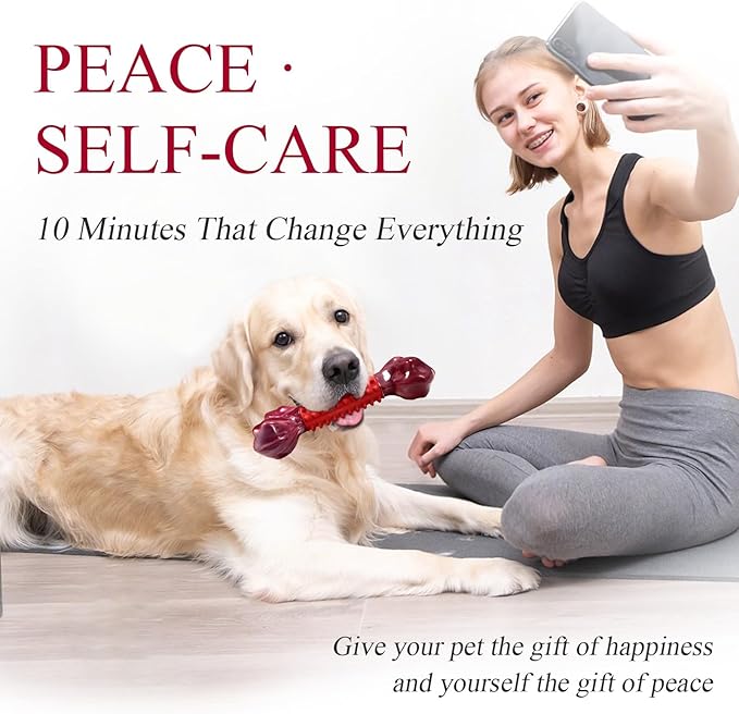 Apasiri 3-Pack Tough Dog Chew Toys for Aggressive Chewers, Beef-Flavored Dog Bones for Large Breed, 8" Nylon & Rubber Chew Toys Long-Lasting Play