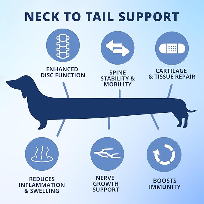 Under The Weather Pet Disc & Spine Health Chews for Dogs | Vet Formulated Dog Chews Spinal Disc Support Supplement | Ideal for Pugs French Bulldogs Dachshunds & Long-Backed Breeds with IVDD | 60 Count