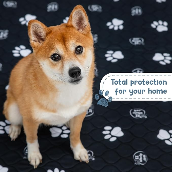 EZwhelp Reusable Dog Pee Pads, Washable Waterproof Mats for Dog Potty Training or Whelping Pads, 50x50 Inch, 2 Pack