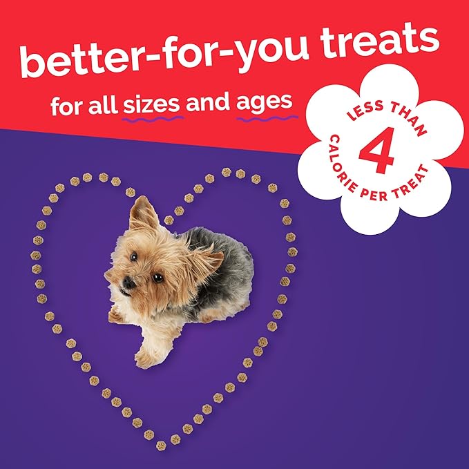 Fruitables Skinny Mini Dog Treats, Healthy Sweet Potato Treat for Dogs, Low Calorie & Delicious, Puppy Training, No Wheat, Corn or Soy, Made in the USA, Bacon and Apple Flavor, 5oz