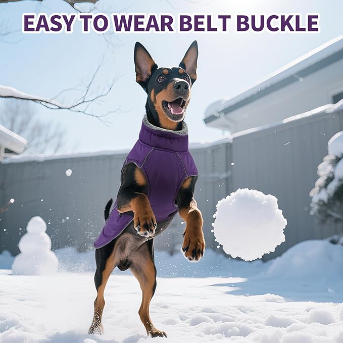 DENTRUN Dog Winter Coat - Windproof Reflective Jacket, Plush Turtleneck & Adjustable Belt, Water Repellent Fleece Lined Cold Weather Vest for Corgi Bulldog, Purple, L