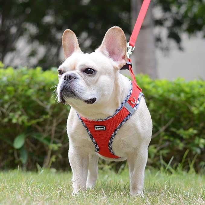 Mercano Soft Mesh Dog Harness and Leash Set, No-Chock Step-in Reflective Breathable Lightweight Easy Walk Vest Harnesses with Safety Buckle for Small Dogs, Cats (Red, S)