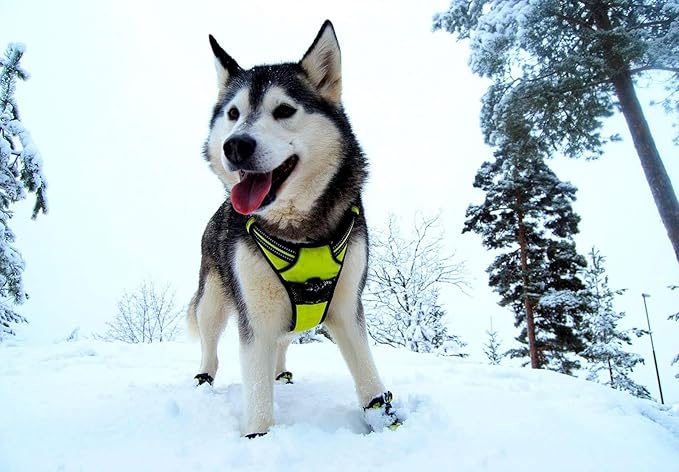 TRUE LOVE Truelove Adjustable No-Pull Dog Harness Reflective Pup Vest Harnesses Comfortable Control Brilliant Colors TLH5651(Neon Yellow,XL)