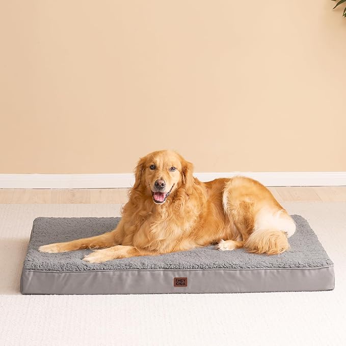 EHEYCIGA Orthopedic Foam Dog Bed, Medium, 30"L x 20"W x 3.5"Th, Light Grey