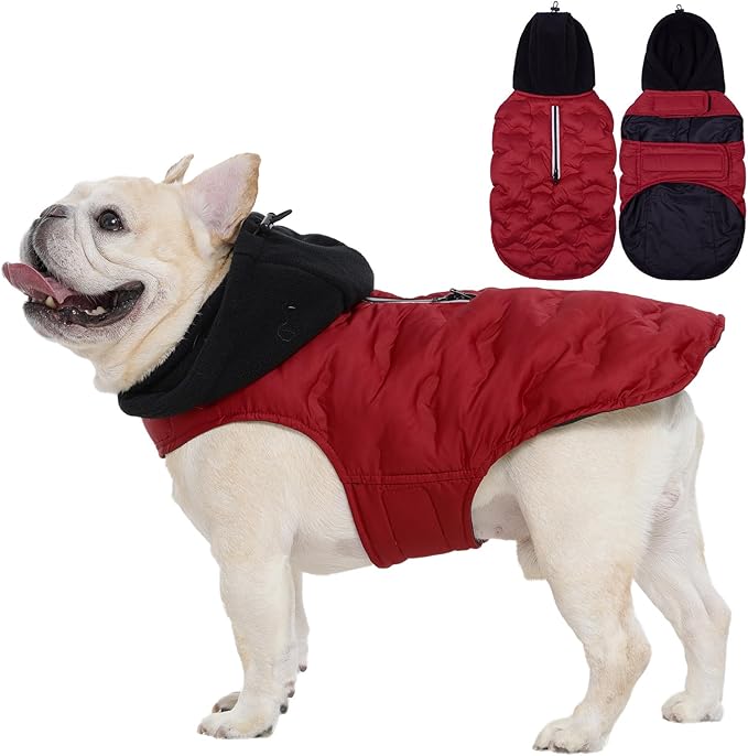 Nanaki Small Dog Puffer Jacket with Leash Hole, Warm Winter Coat Dog Puffer Coat Reflective, Lightweight Windproof Snowsuit for Hiking Walking Outdoor Activities, Halloween Christmas Easy on, Red