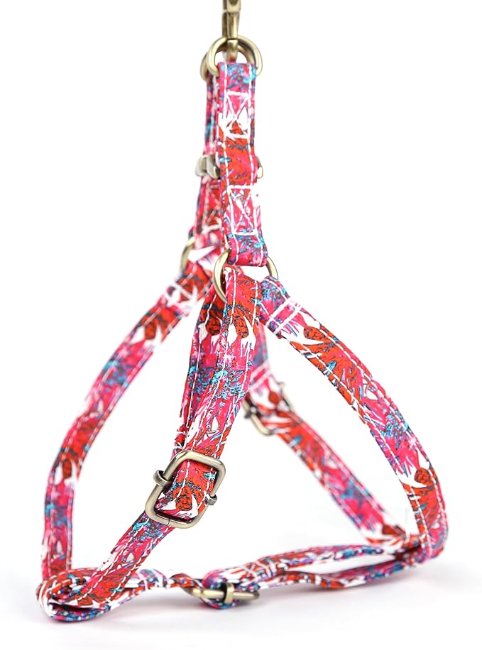 Angie and Allie Organic Cotton Personalized Step in Dog Harness,Custom Dog Halter Vests,Adjustable No Pull Canine Halter Harness for Small Medium Large Dogs