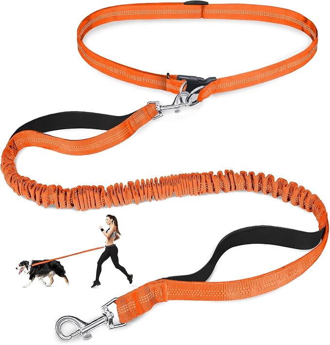 Hands Free Dog Leash, Adjustable Waist Leash for Dog Walking, Dual Bungee 4.2-6.7 Feet Long with Reflective Stitches for Walking Hiking Running, Fits 26"- 43" Inch Waist, Orange