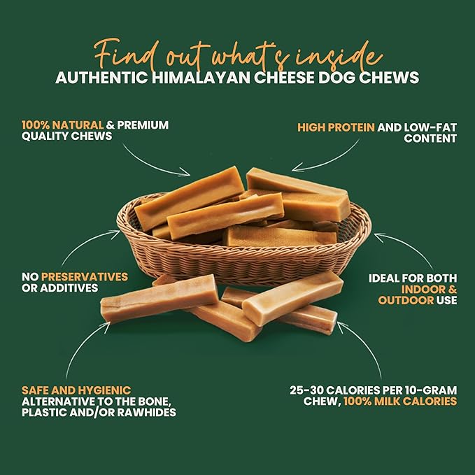 KATHMANDU'S - Authentic Himalayan Cheese Dog Chews - Large, 1-Count - for Improved Dental Hygiene & Protein-Rich Nutrition, No Preservatives