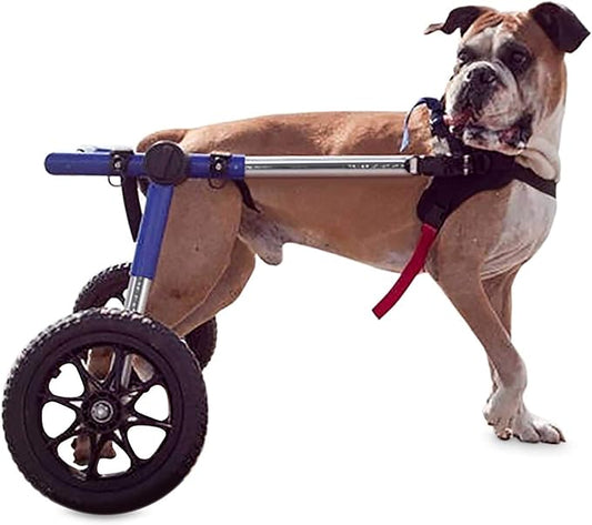 Walkin' Wheels Dog Wheelchair - for Large Dogs 70-180 Pounds - Veterinarian Approved - Dog Wheelchair for Back Legs