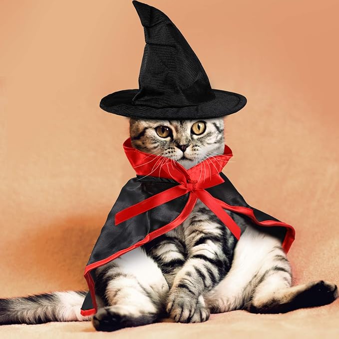 Frienda 2 Pieces Halloween Cat Costume Funny Wick Pet Vampire Cloak Witch Cape and Hat for Kitten Puppy Small Cat Dog Cosplay Halloween Party Supplies(Basic)
