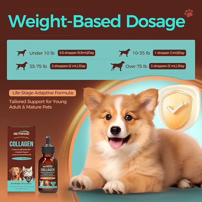 Liquid Collagen for Dogs and Cats-Hip and Joint Support, Itch Relief, Skin and Coat Supplement- Liquid Collagen with Multi-Vitamin for Dog, Immunity Boost- Bacon Flavor,60ml