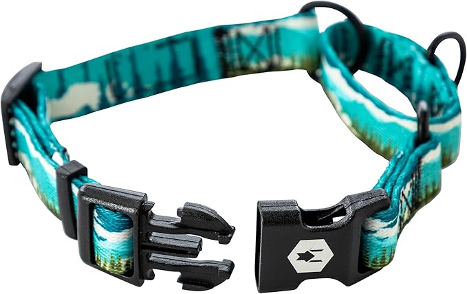 Wolfgang Heavy Duty Martingale Dog Collar with Quick Release Nylon Buckle for Walking & Training, GreatEscape Print, Small