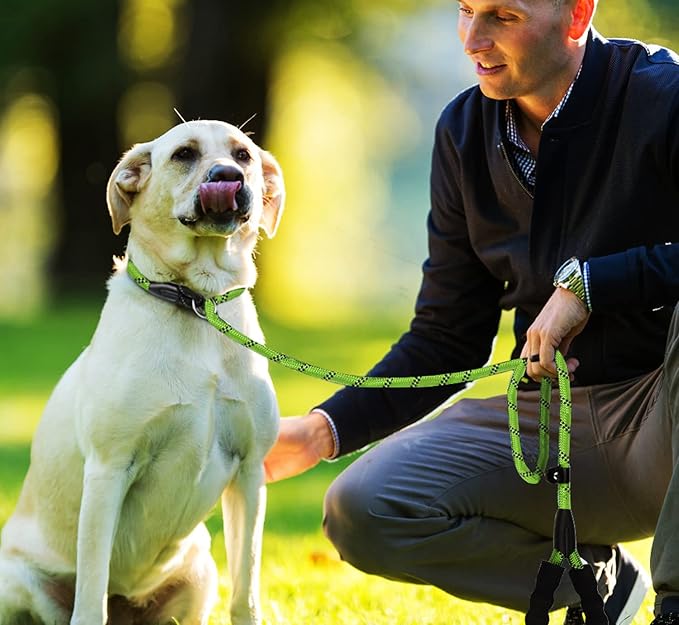 6 FT Dog Leash, Heavy Duty Rope Dog Leashes, Strong Training Dogs Leash with Comfortable Padded Handle and Highly Reflective Threads for Small Medium and Large Dogs, (Green)