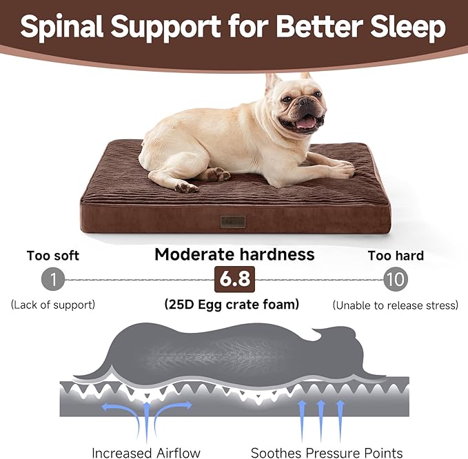 OhGeni Orthopedic Waterproof & Machine Washable Dog Bed for Small Medium Pets, Suitable for Crates, Cat Mat with 25D Egg Crate Foam, Removable Cover, 30 Inches(Brown)