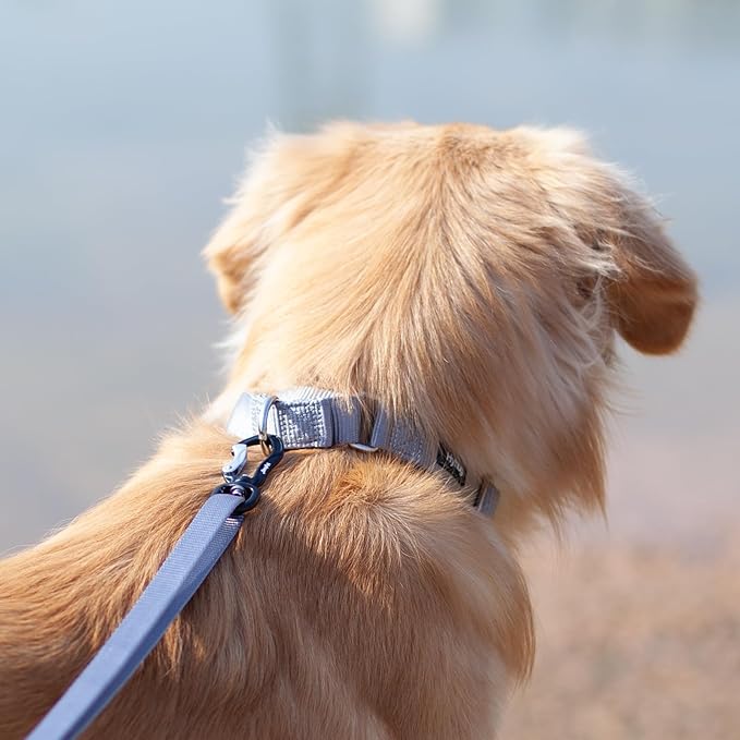 Hyhug Pets Premium Upgraded Heavy Duty Nylon Anti-Escape Martingale Collar for Large Boy and Girl Dogs Comfy and Safe - Professional Training, Daily Use Walking. (Large, Sleet Gray)