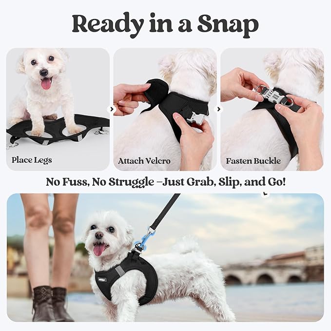 rabbitgoo Dog Harness Small Sized and Leash Set, Step in Soft Light Puppy Vest, Breathable Mesh Pet Harness, Reflective for Safe Easy Walking, Black S