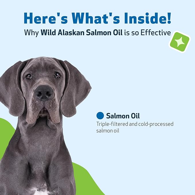 Pet Wellbeing Wild Alaskan Salmon Oil for Dogs - Wild-Caught, Cold-Processed, Daily Omega-3 Fish Oil for Healthy Coat and Skin, Joint Mobility and Strength - EPA, DHA - 16 fl oz (473 ml)