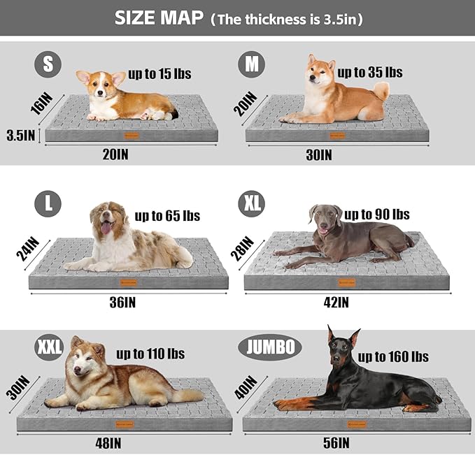 Patas Lague Orthopedic XL Dog Bed Large Sized Dog 48''X30'', Waterproof Soft Comfortable Egg Crate Foam Large Pet Beds Crate Mat with Removable Washable Cover and Nonskid Bottom, Grey